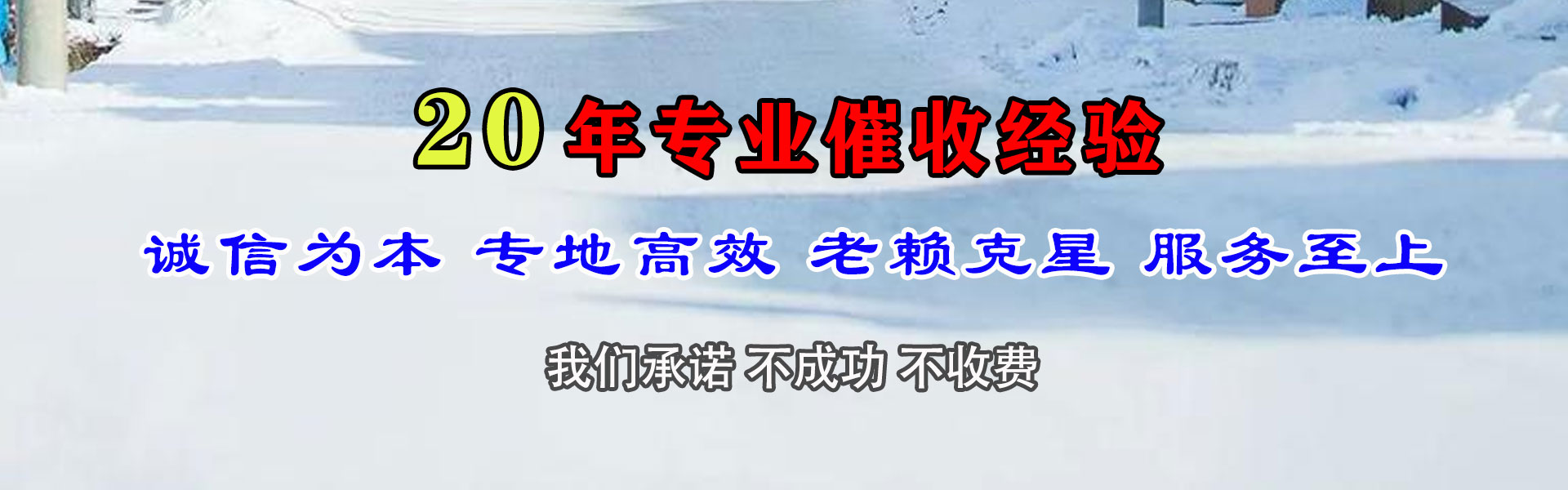 海珠清债公司
